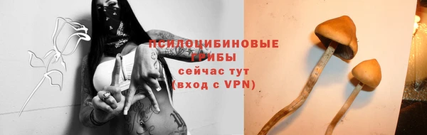 гашик Алексеевка