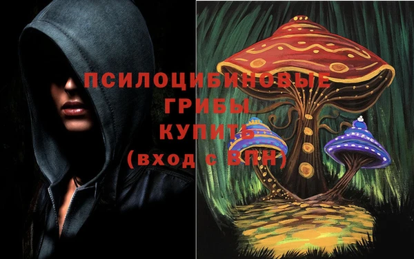 круглые Арсеньев