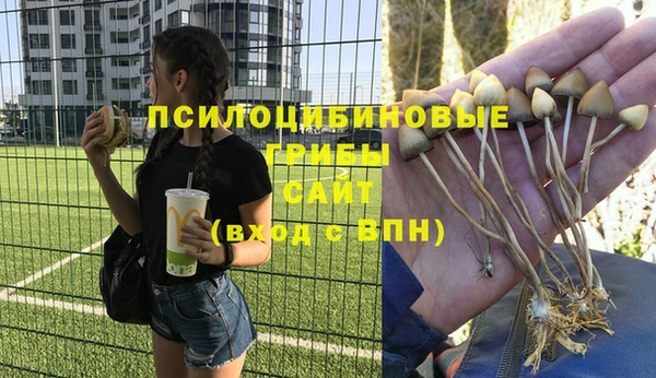 гашик Алексеевка