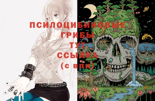 прущие грибы Нягань