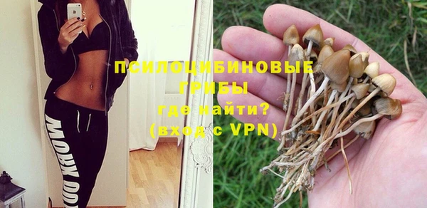 гашик Алексеевка