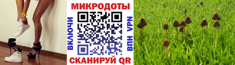 Галлюциногенные грибы Magic Shrooms  Купить  Кунгур 